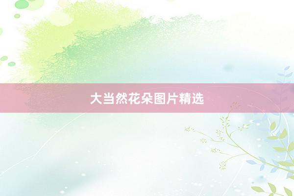 大当然花朵图片精选