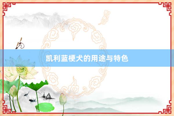 凯利蓝梗犬的用途与特色