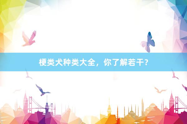 梗类犬种类大全，你了解若干？